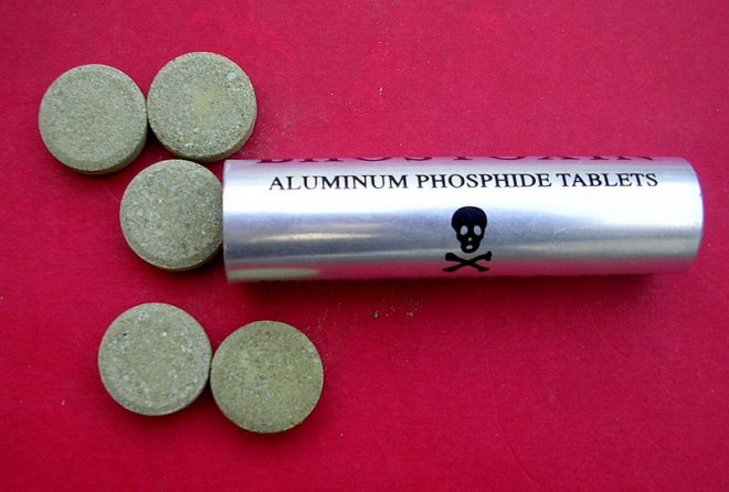 Pastillas de fosfuro de aluminio, conocidas como "pastillas de curar frijoles". Foto: Internet