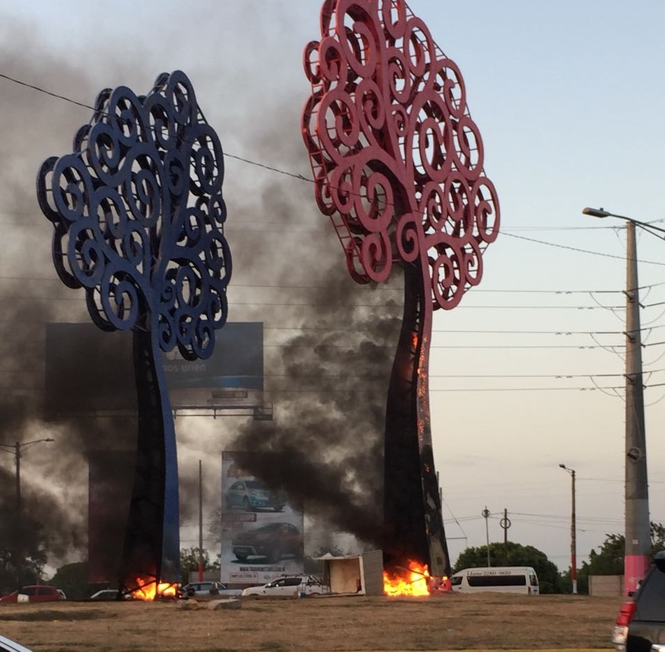 Manifestantes queman estructuras metálicas con forma de árboles. Foto: Cortesía