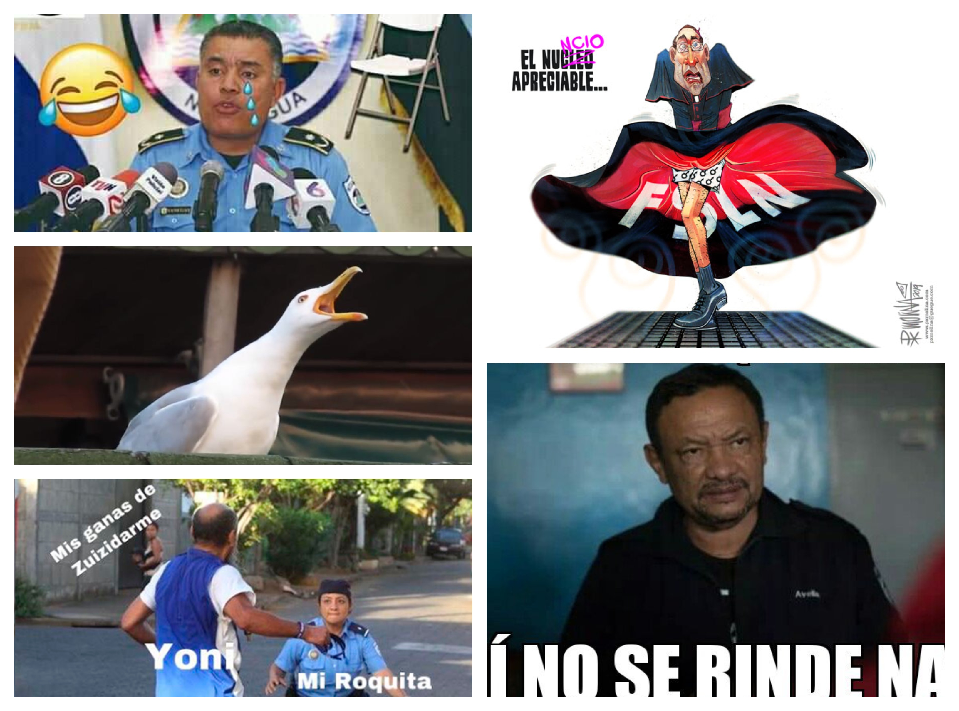 El poder de los «memes» y las caricaturas en la crisis de Nicaragua