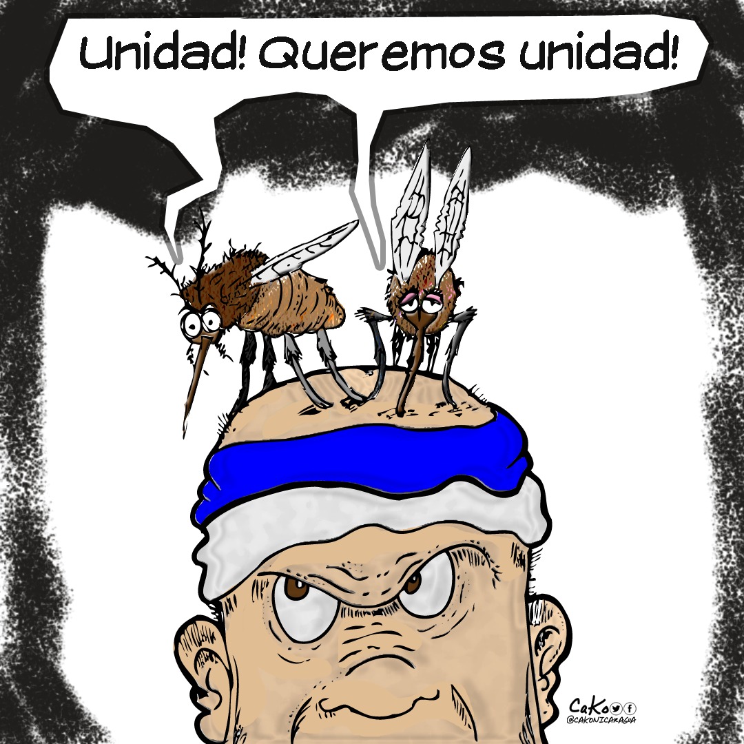 La Caricatura: Nicaragua necesita unidad, pero sin zancudos