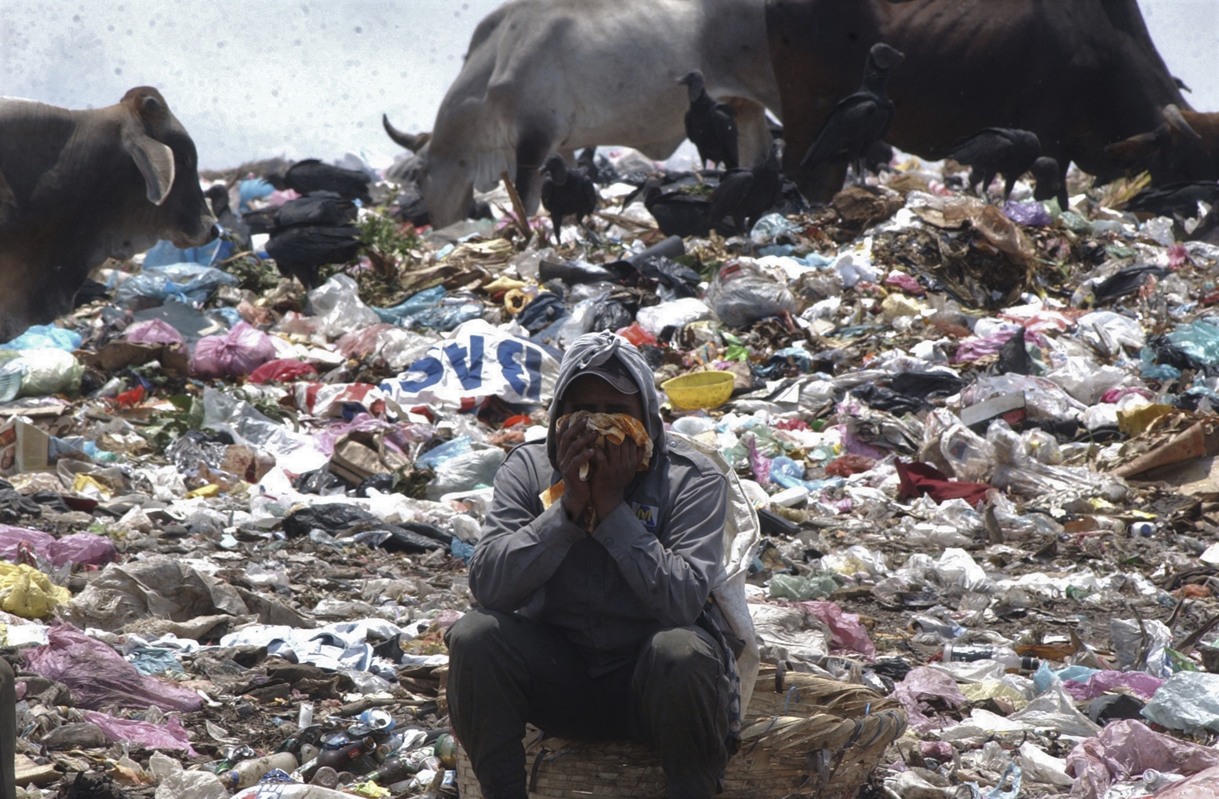La situación precaria de miles de Nicaraguenses es cada dia mas deplorable,cientos de personas acuden  todos los dias al vertedero de basura mas grande de la capital(managua),conocido como la "chureca a urgar en los desechos algo util, mientras sopilotes y vacas se disputan los desperdicios