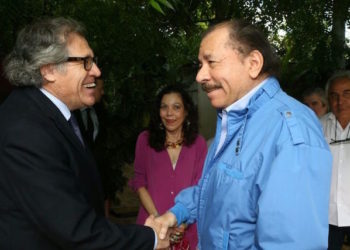 OEA debe poner plazos al régimen de Ortega. Foto: Cortesía