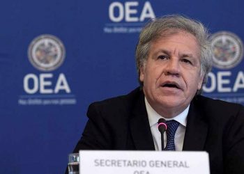 OEA demanda la liberación «inmediata» de presos políticos en Nicaragua. Foto: Internet.