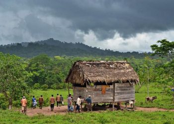 CIDH expondrá atropellos contra comunidades indígenas en Nicaragua. Foto: Comunidad Mayangna Bosawas/ Alba Sud/ Alam Ramírez.