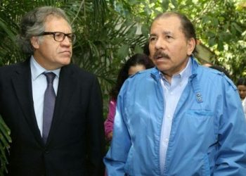 Estados miembros de la OEA votan para que la dictadura de Nicaragua pare la represión