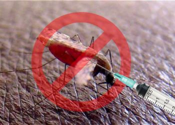OMS recomienda extender uso de vacuna contra la malaria en África