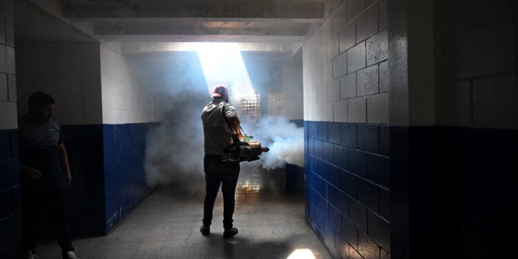 Dengue causa al menos 35 muertes en Centroamérica en 2024. Foto: AFP